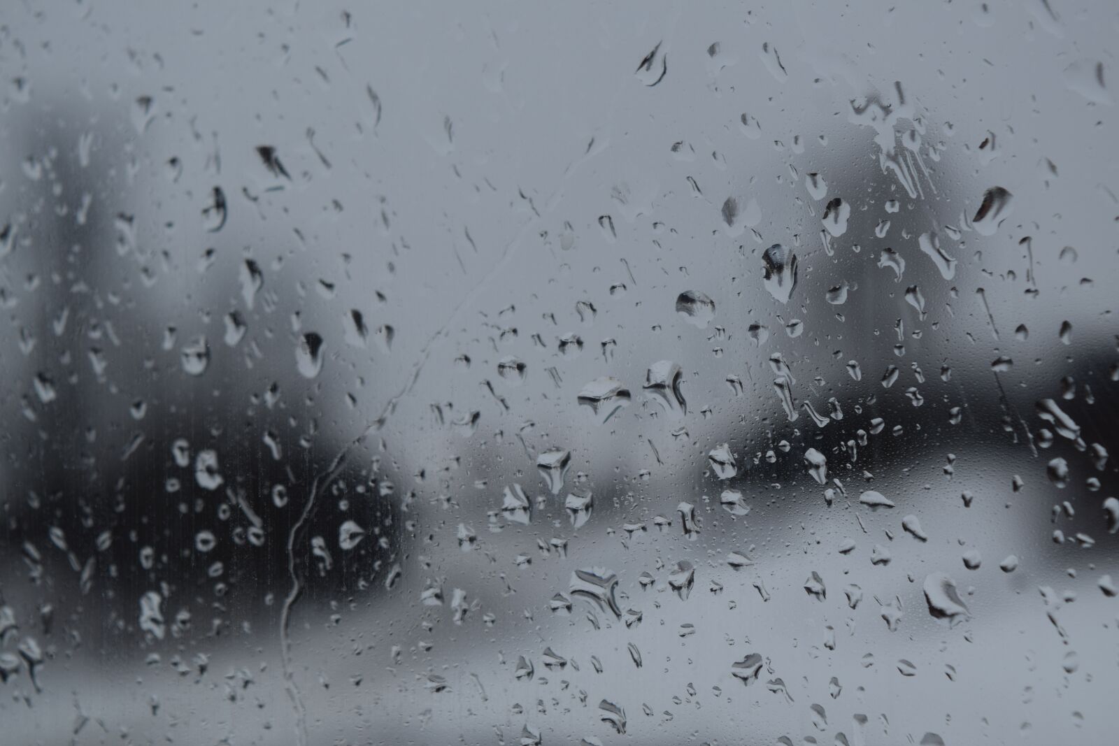 Nikon D5300 sample photo. Pearl, wet, rain photography