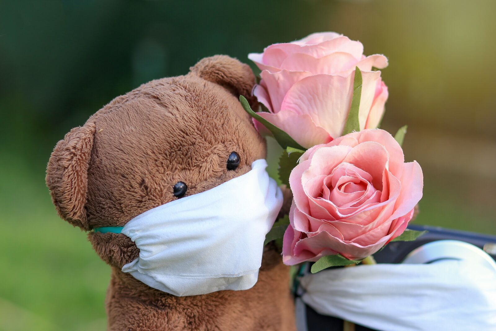 Canon EOS 80D sample photo. Bear, mask, corona photography