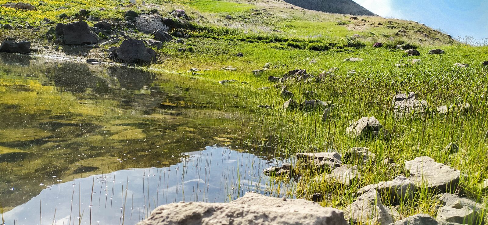 Xiaomi Redmi Note 8 sample photo. Lake, water, nature photography