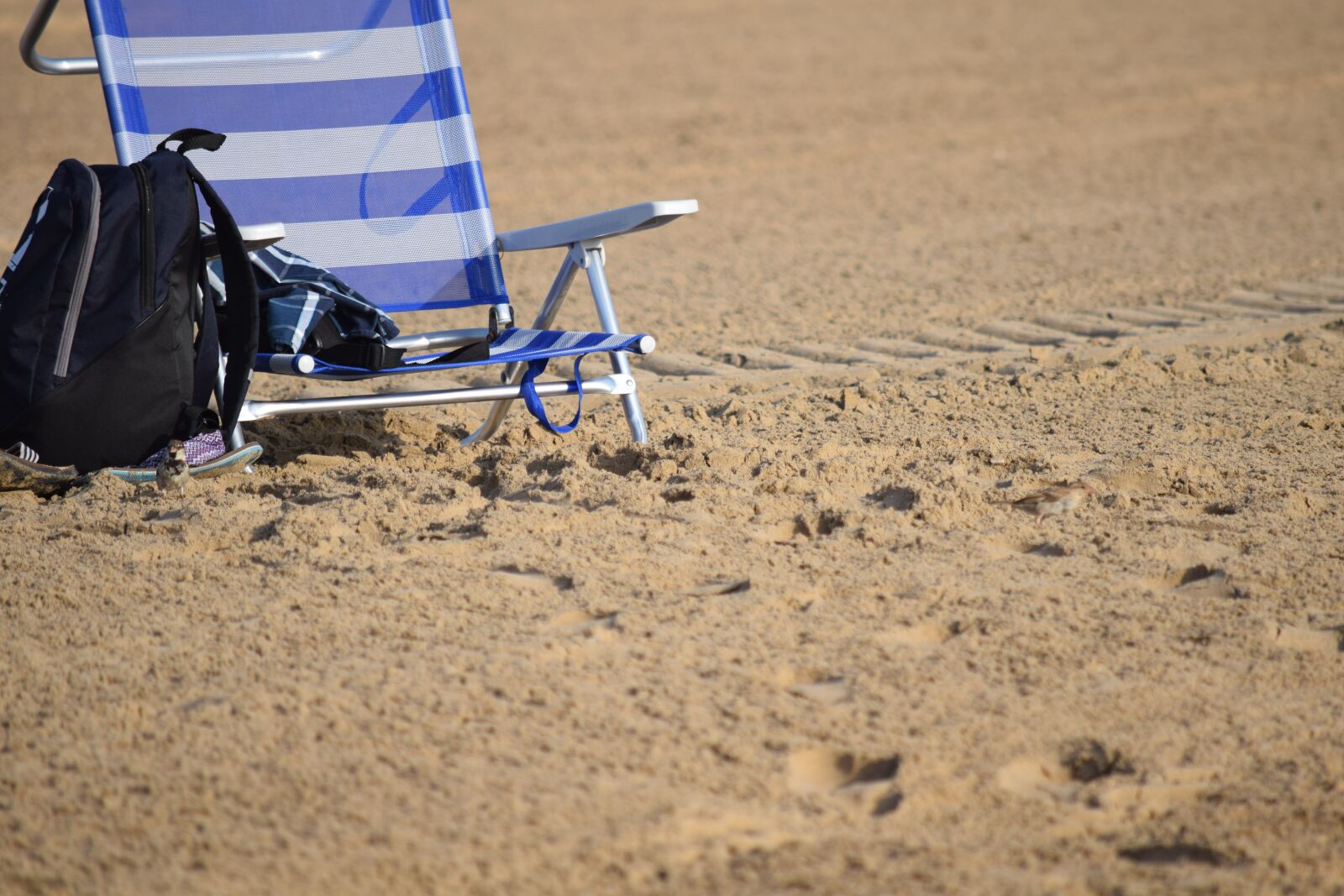 Nikon D3300 sample photo. Chair, beach, sand photography
