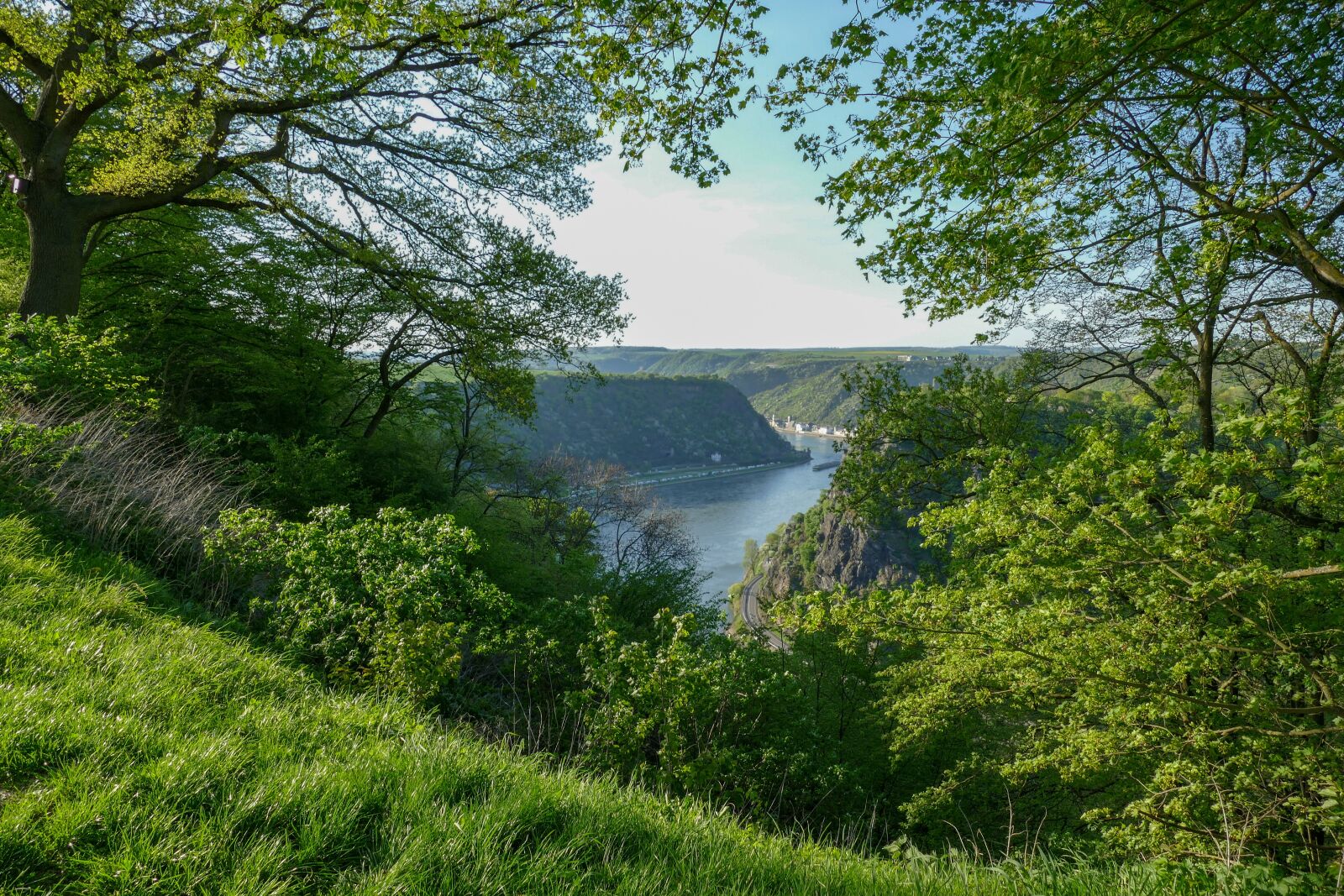 Panasonic Lumix DMC-FZ1000 sample photo. Loreley view urbar, loreley photography