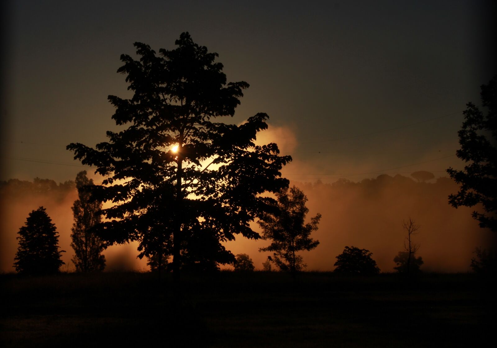 Canon EOS 700D (EOS Rebel T5i / EOS Kiss X7i) sample photo. Sunrise, the haze, tree photography