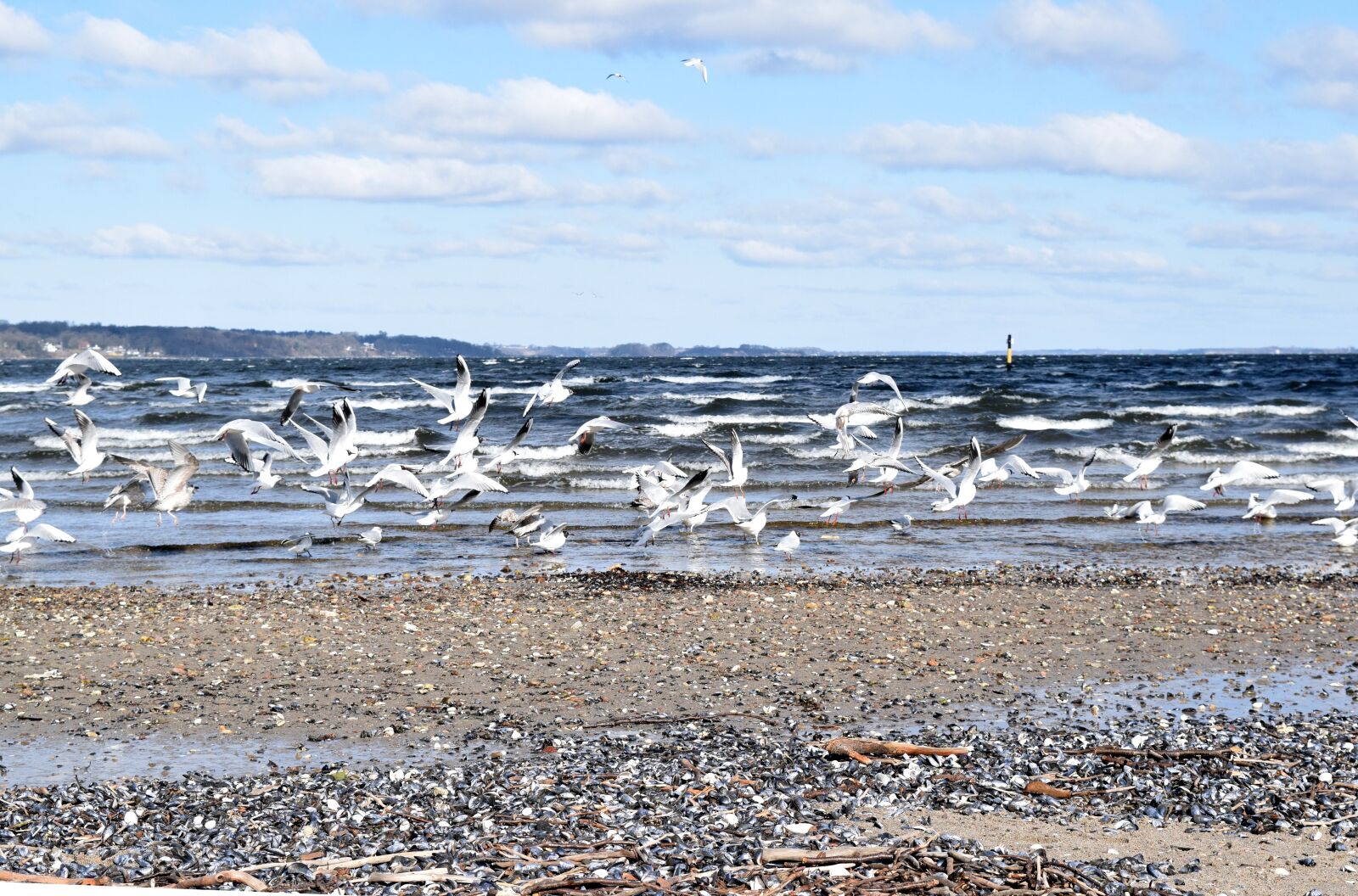 Nikon D5300 sample photo. Sea, waters, nature photography