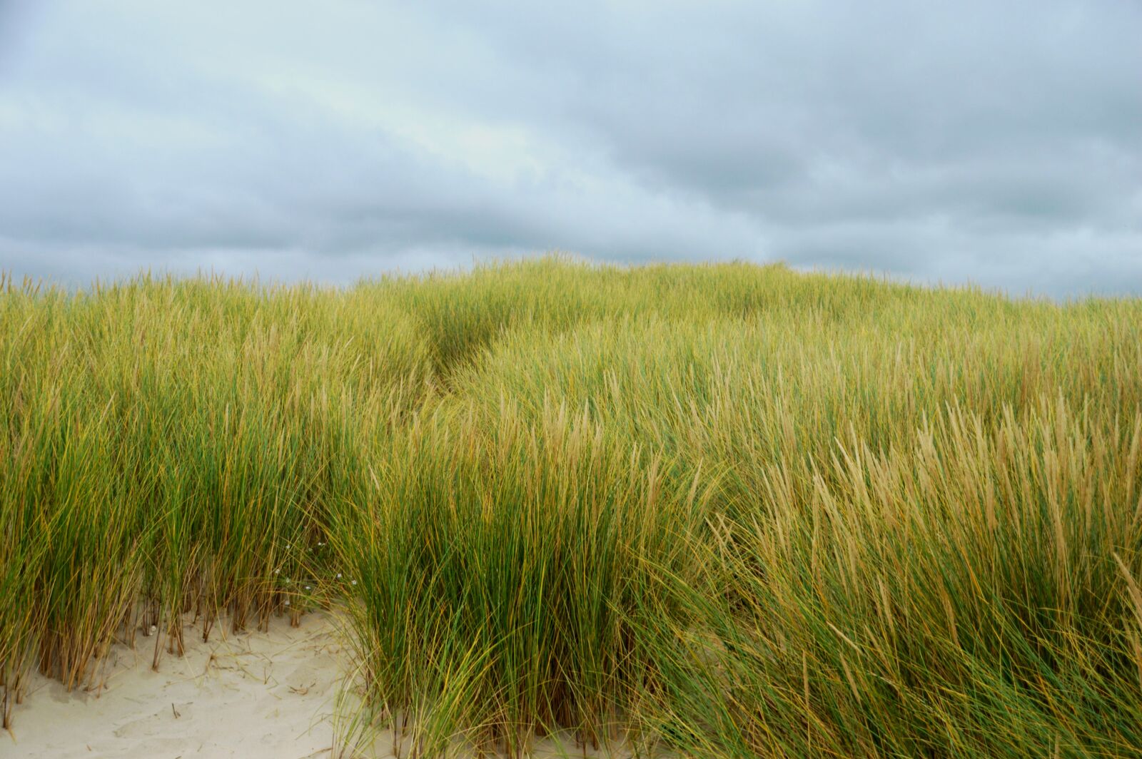 Nikon D3200 sample photo. Sea, beach, stella beach photography