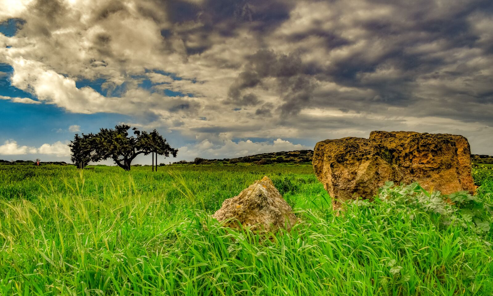 Nikon D3300 sample photo. Rocks, tree, landscape photography