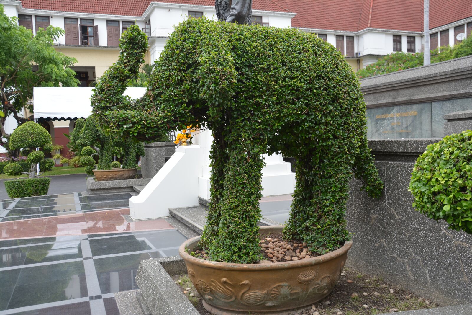 Nikon D5200 sample photo. Topiary, elephant, hedge photography
