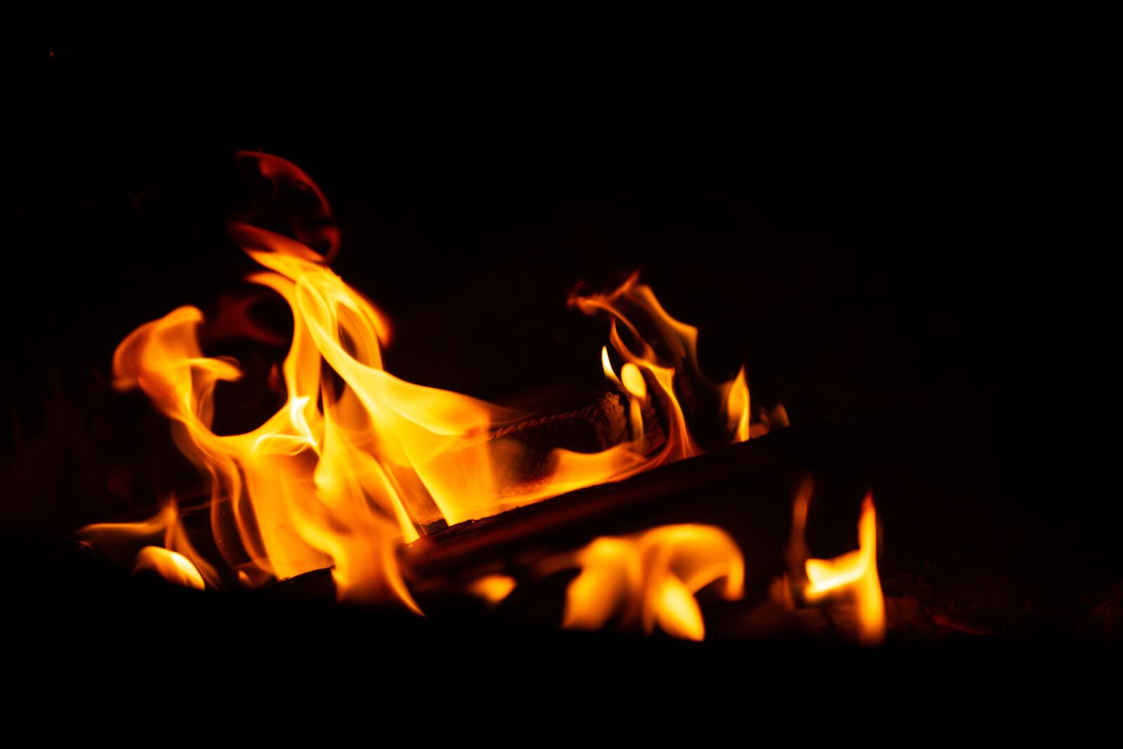 Nikon D800 sample photo. Fire, campfire, flames photography