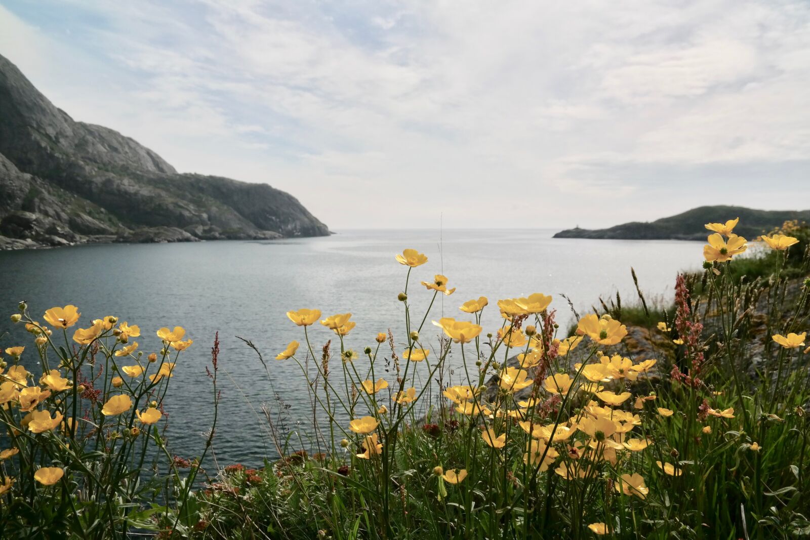 Samsung NX300 sample photo. Mountains, sea, flowers photography