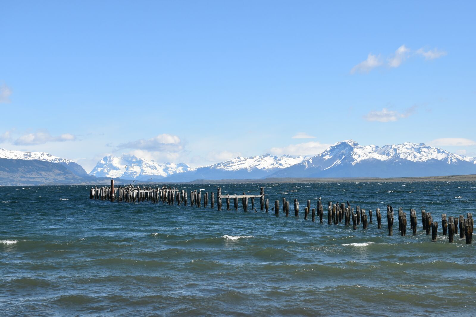Nikon D5500 sample photo. Patagonia, puerto natales, chile photography