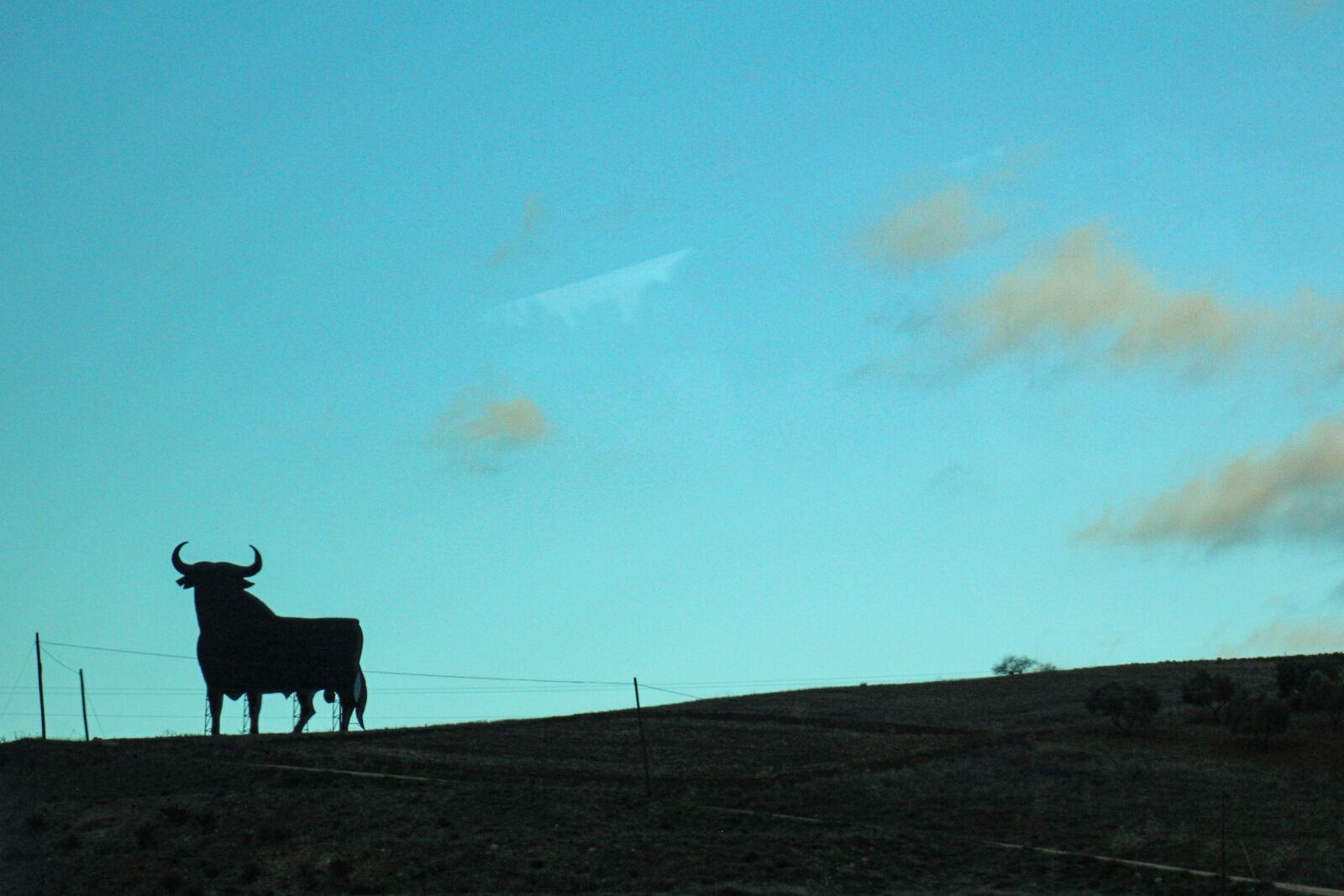 Canon EOS 600D (Rebel EOS T3i / EOS Kiss X5) sample photo. Bull, hill, silhouette photography
