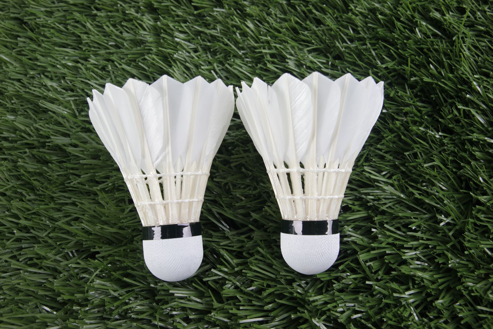 Canon EOS 550D (EOS Rebel T2i / EOS Kiss X4) sample photo. Badminton, sport, shuttlecock photography