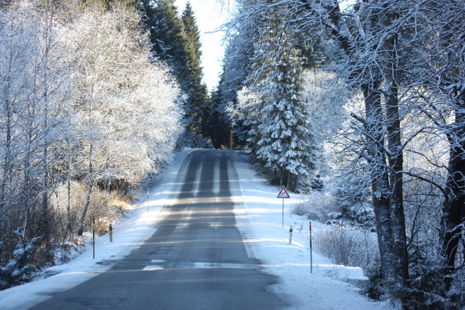 Canon EOS 500D (EOS Rebel T1i / EOS Kiss X3) sample photo. Nature, road, winter photography