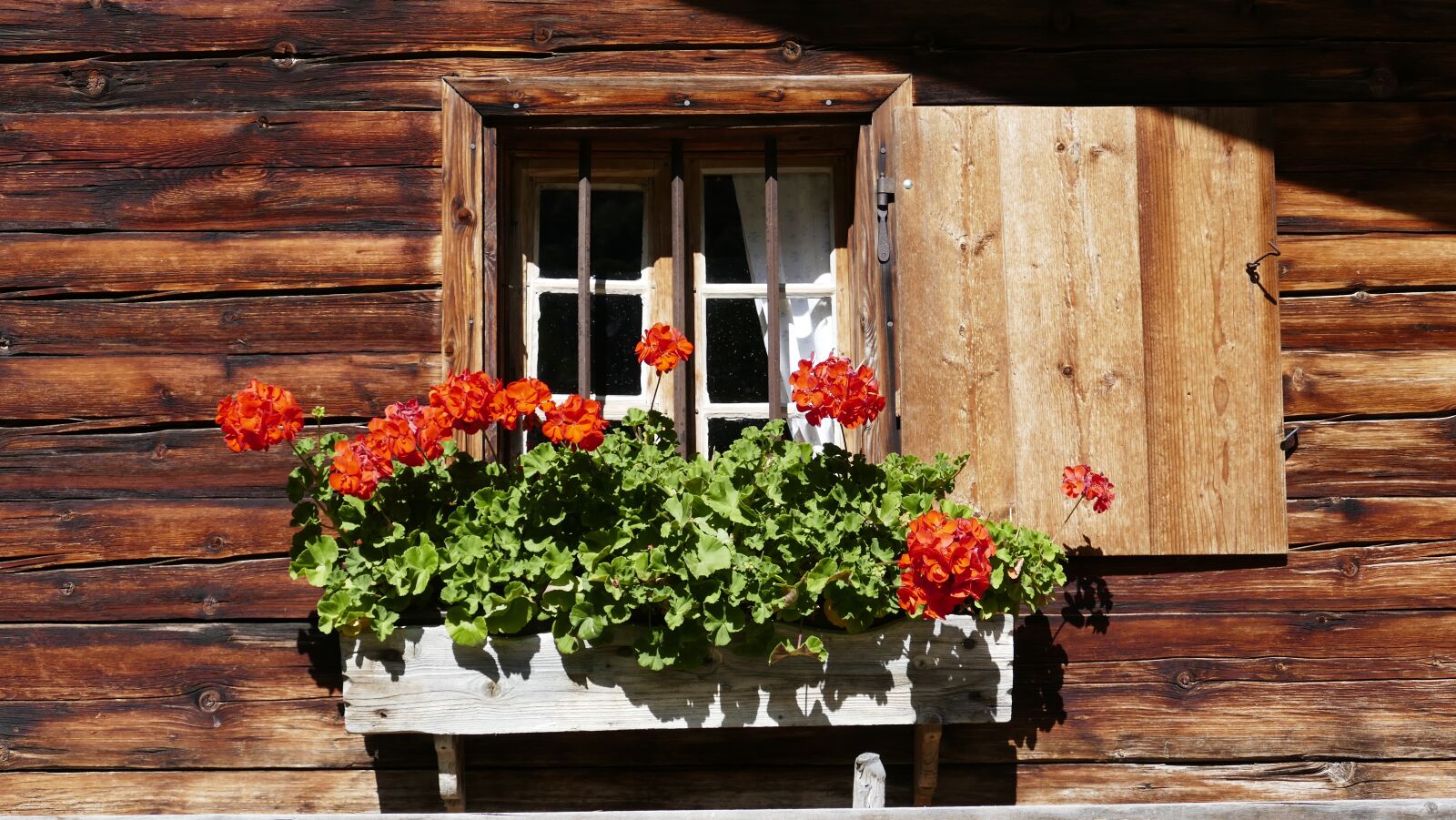 Panasonic Lumix DMC-FZ1000 sample photo. Shutter, woodhouse, window photography