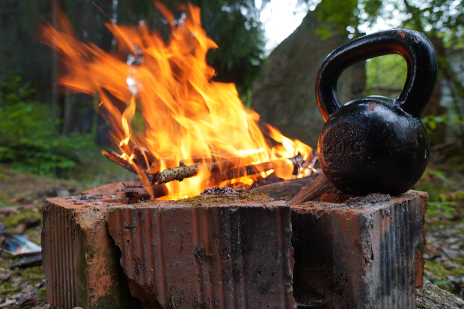 Sony a6400 + Sigma 16mm F1.4 DC DN | C sample photo. Carnivore, kettlebell, trening photography