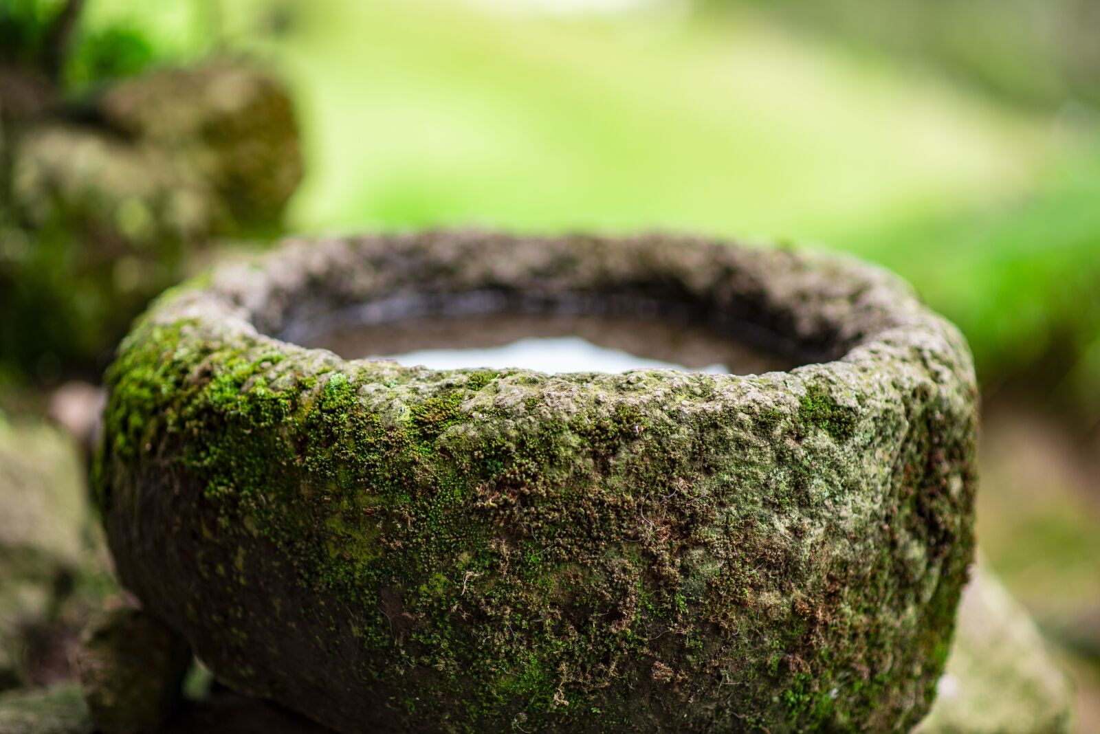 Nikon D600 sample photo. Stone, water, stones photography