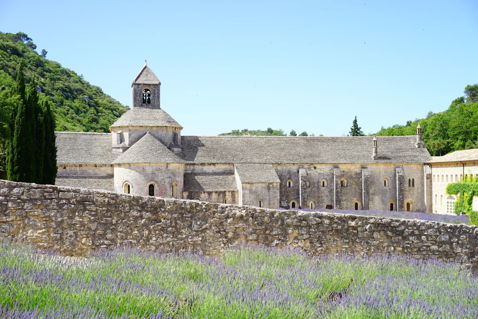 Sony a7 + Sony Sonnar T* FE 55mm F1.8 ZA sample photo. Abbaye de s nanque photography