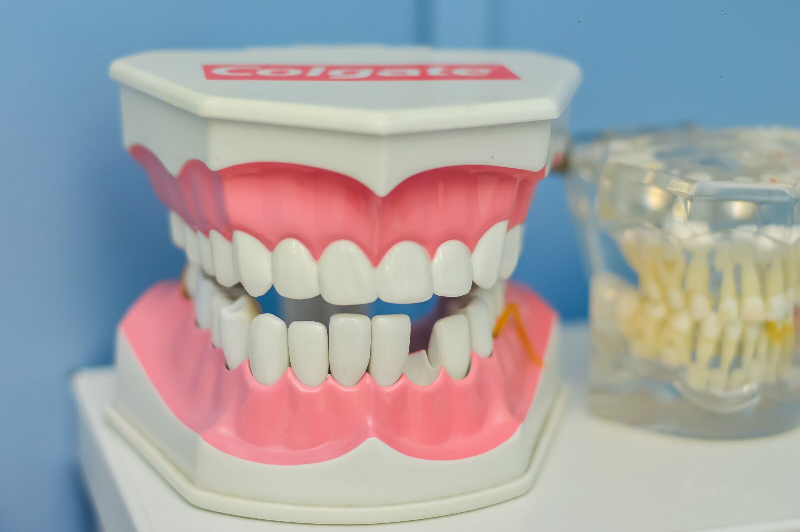 Nikon D3200 sample photo. Mouth, tooth, macromodelo photography
