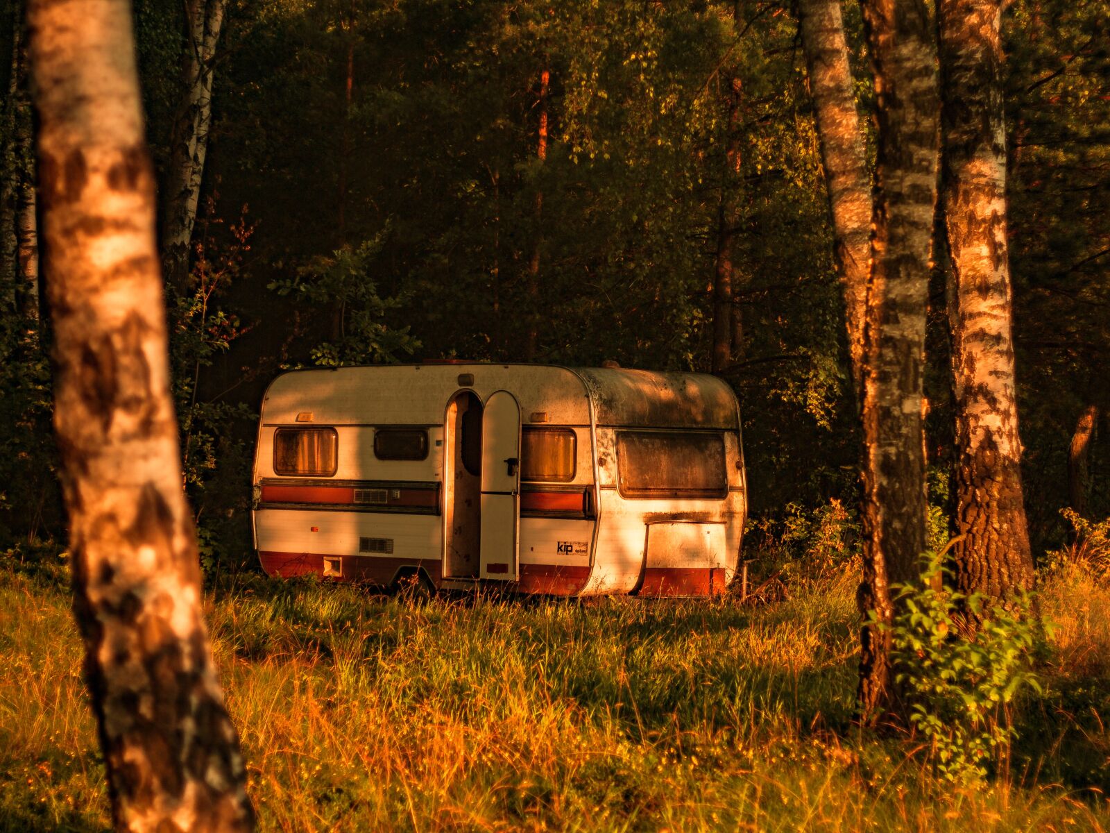 Canon EOS 700D (EOS Rebel T5i / EOS Kiss X7i) + Canon EF 50mm F1.8 STM sample photo. Nature, the trailer, at photography