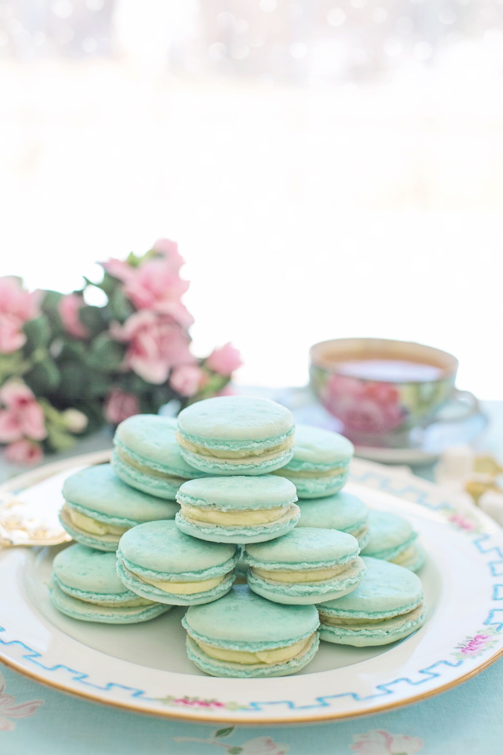 Canon EF 50mm F1.4 USM sample photo. Macarons, pink, aqua photography
