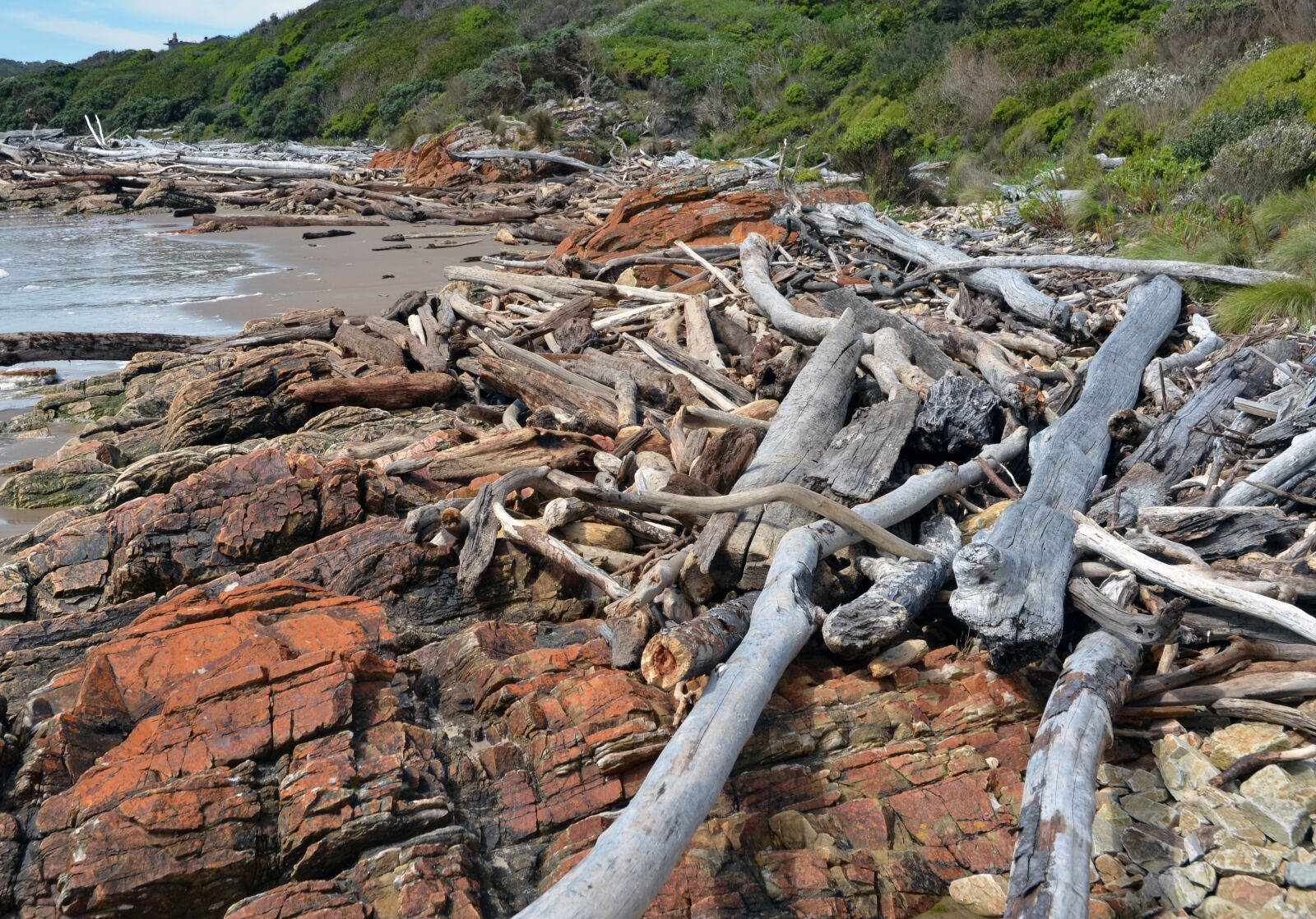 Nikon D7000 sample photo. Driftwood, tasmania, ocean photography