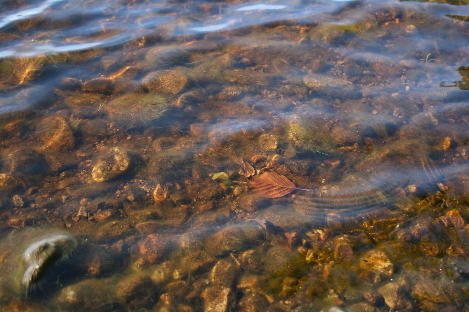 Canon EOS 400D (EOS Digital Rebel XTi / EOS Kiss Digital X) sample photo. Water, lake, finnish photography