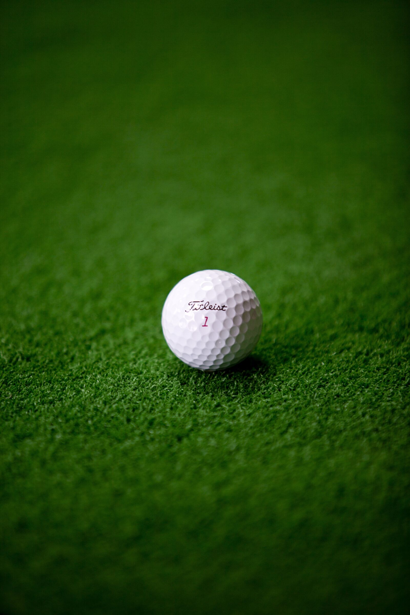 Canon EOS 5D sample photo. Golf, golf ball, sports photography