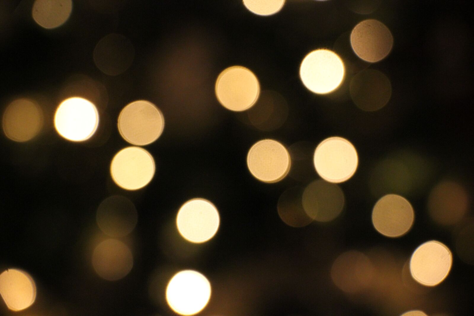 Canon EOS 550D (EOS Rebel T2i / EOS Kiss X4) sample photo. Background, christmas, kertdagen photography