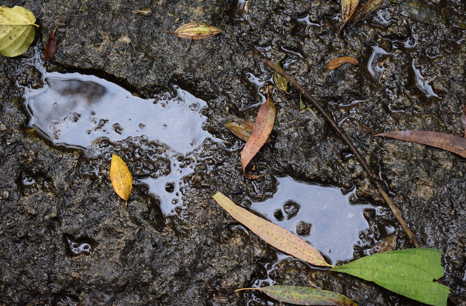 Nikon D5300 sample photo. Footprint, foot, footprint in photography
