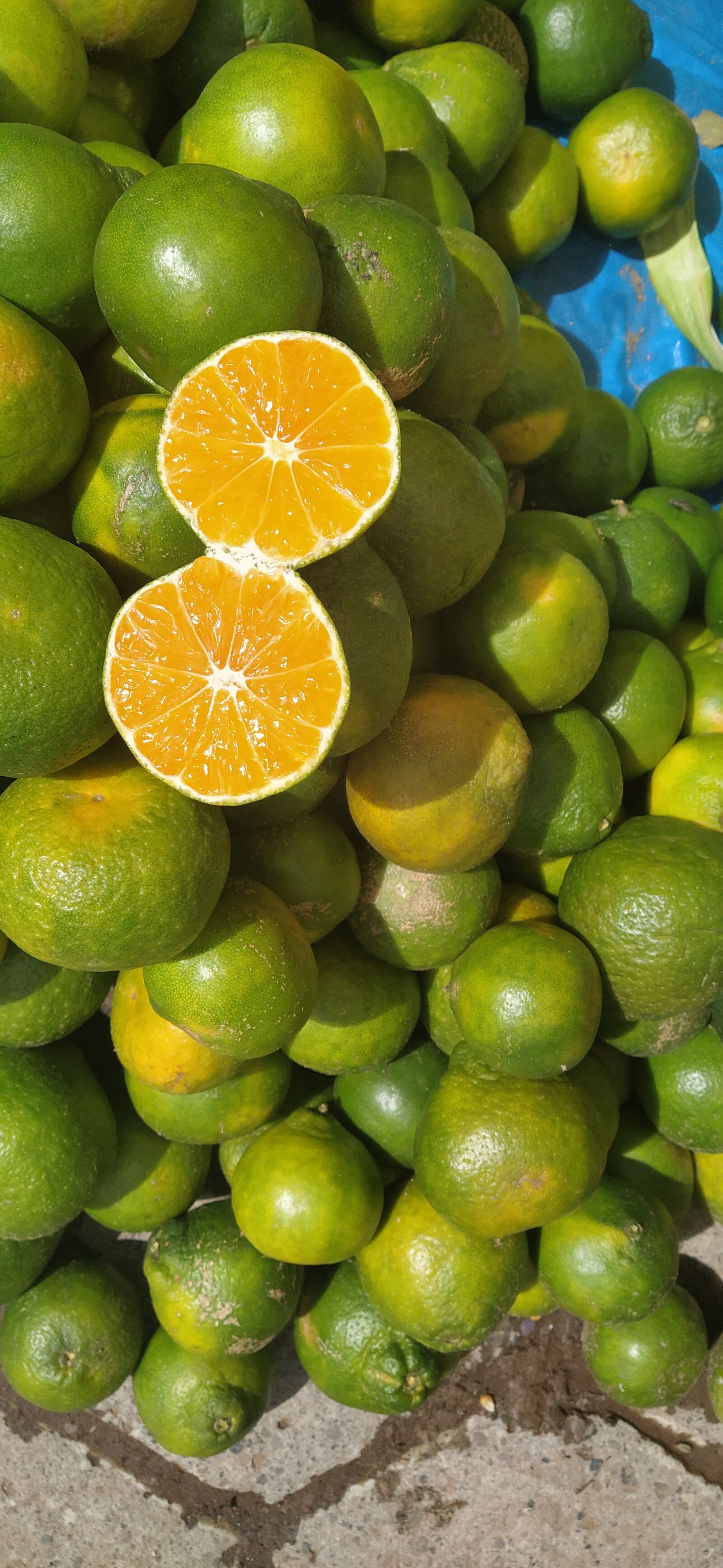 Xiaomi Mi A3 sample photo. Nature, fruit, tangerine photography