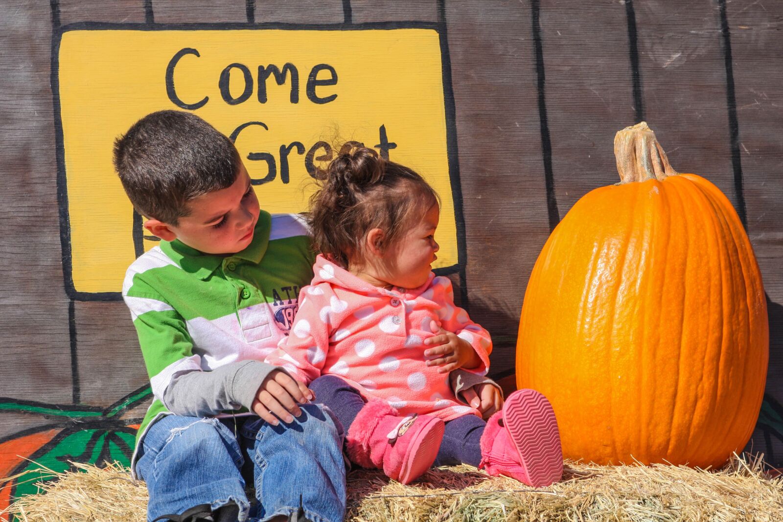 Canon EOS 40D sample photo. Pumpkin patch, pumpkin, children photography