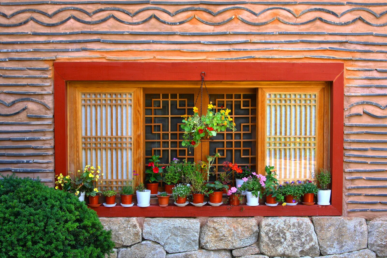 Canon EOS 40D sample photo. Window, flowers, potted plant photography