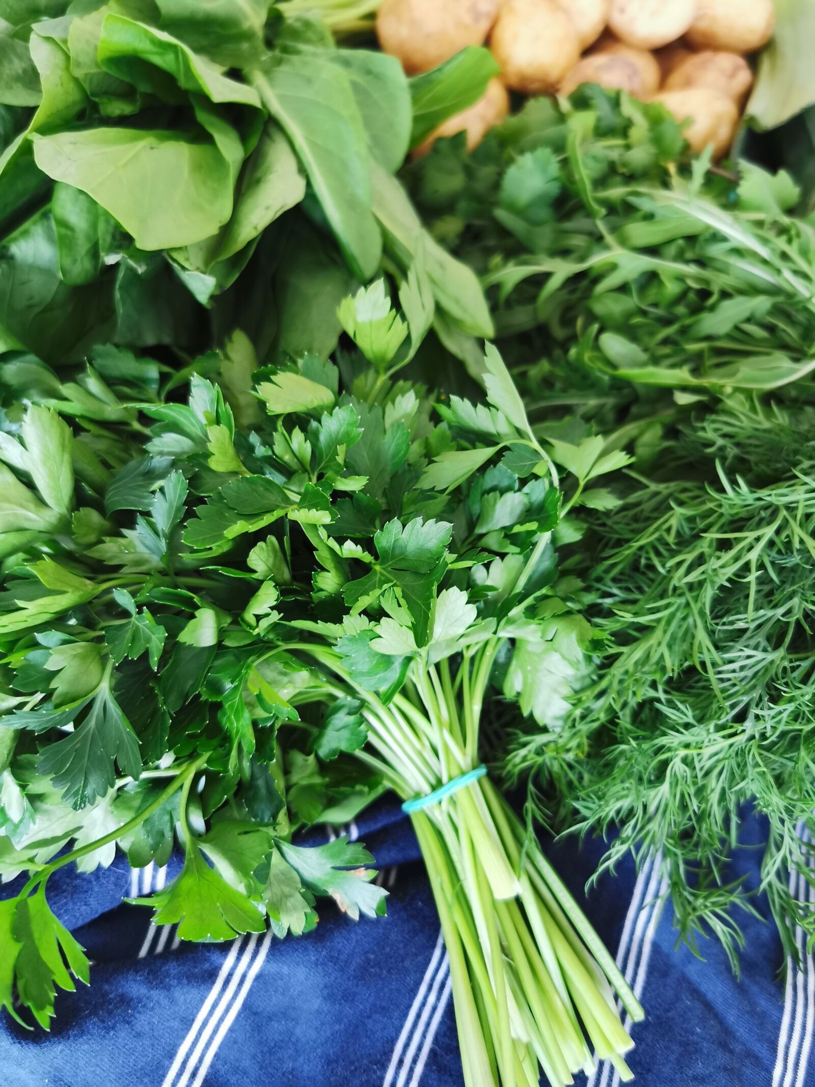 HUAWEI P30 Pro sample photo. Vegetables, parsley, dill photography