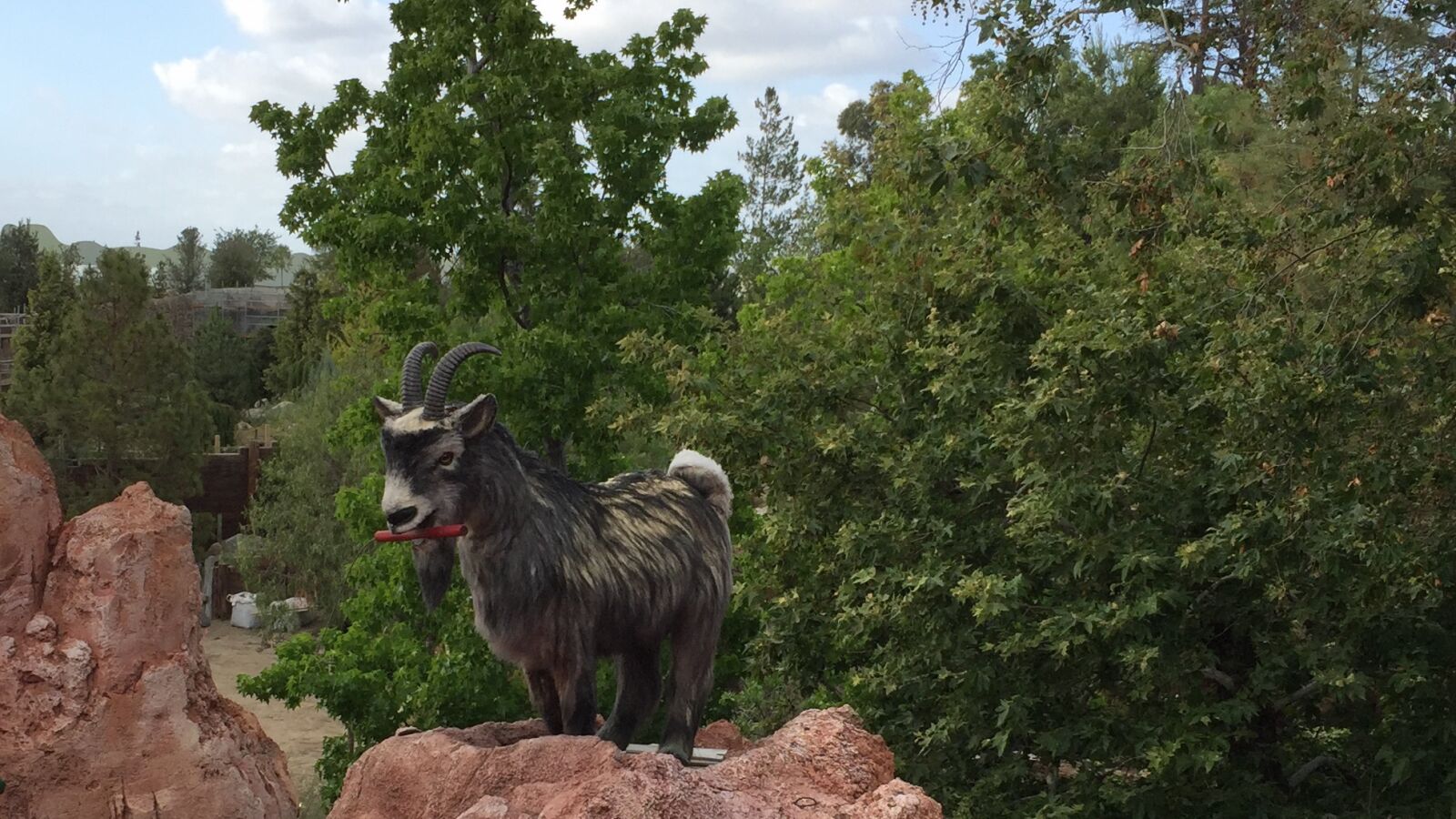 Apple iPhone 6 sample photo. Disneyland, thunder mountain railroad photography