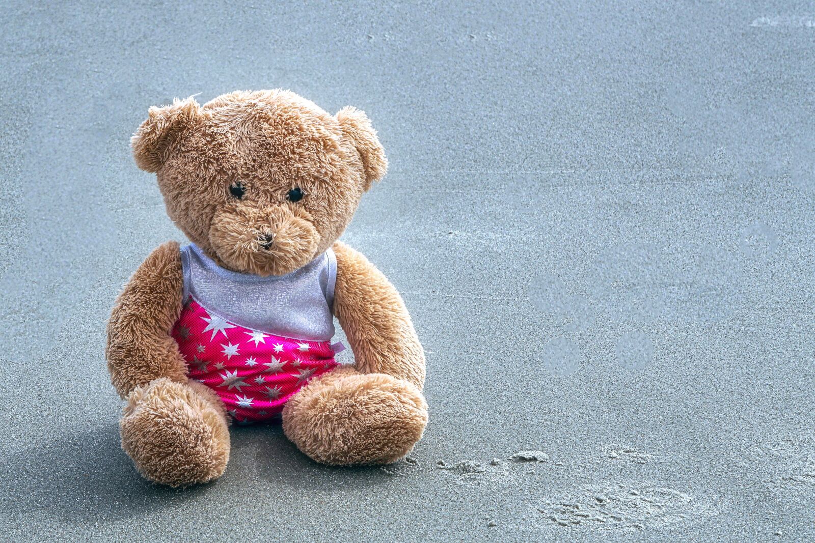 Sony a6300 + Sony E 55-210mm F4.5-6.3 OSS sample photo. Teddy bear, teddy, bear photography