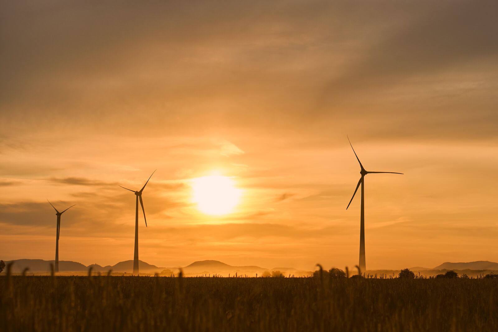 Sony E 50mm F1.8 OSS sample photo. Windr der, wind power photography