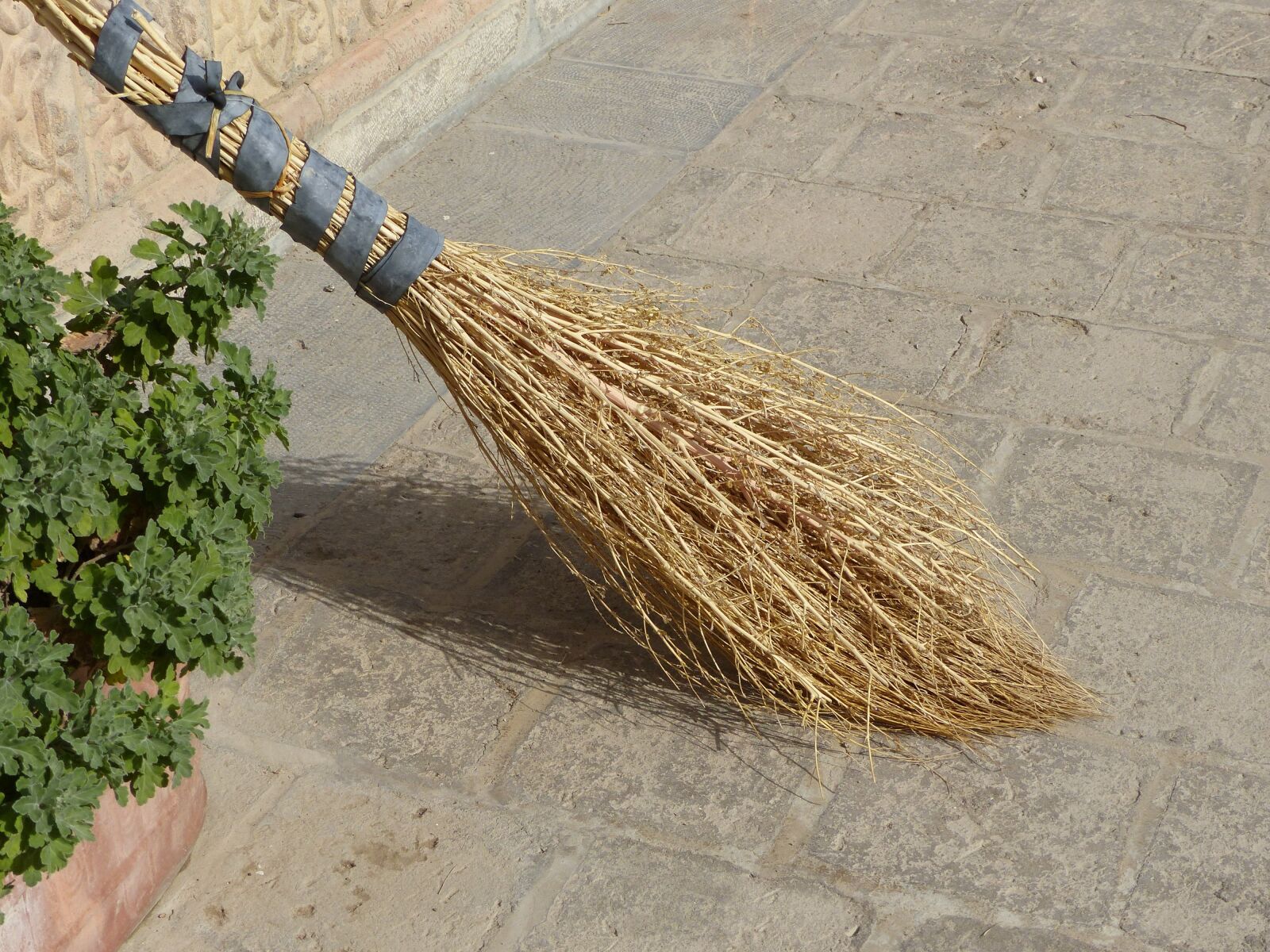 Panasonic Lumix DMC-FZ200 sample photo. Iran, broom, tiles photography