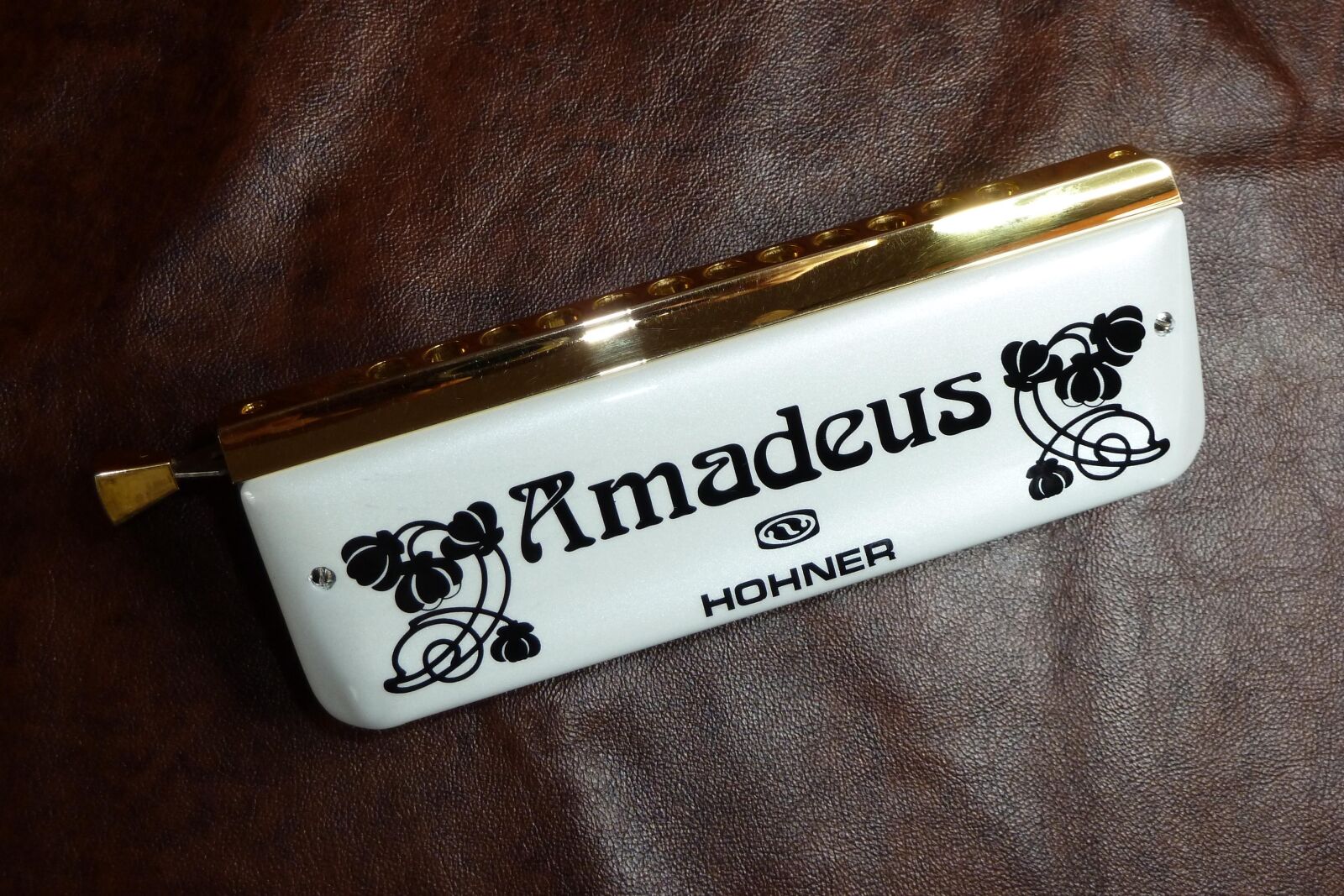 Panasonic Lumix DMC-ZS7 (Lumix DMC-TZ10) sample photo. Harmonica, white, amadeus photography