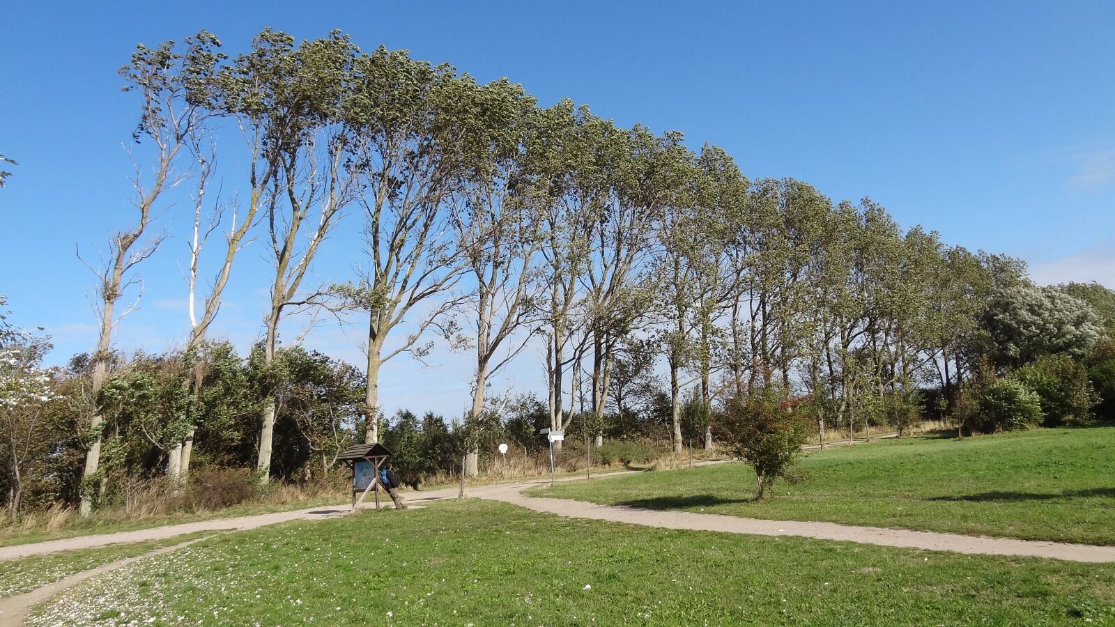 Sony Cyber-shot DSC-HX9V sample photo. Nature, landscape, wind photography
