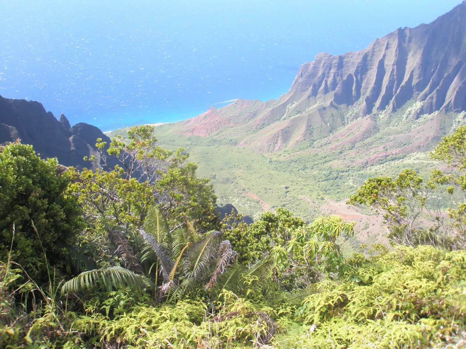 Olympus u820,S820 sample photo. Napali, coast, kauai photography