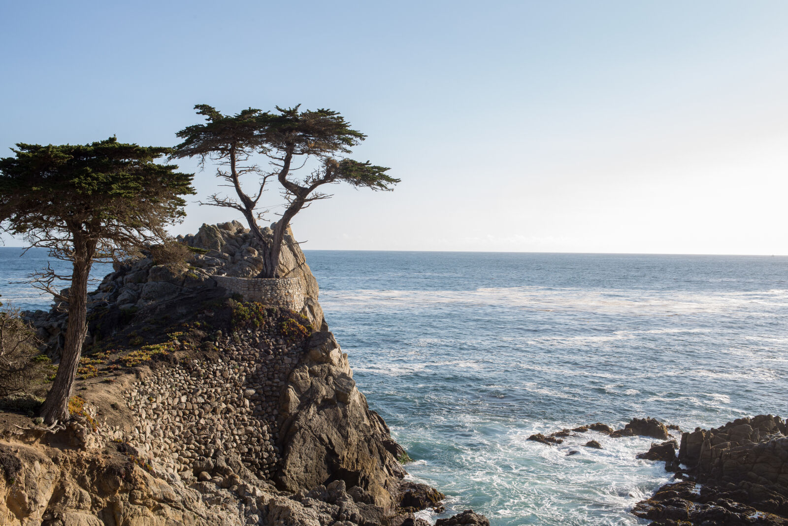 Canon EOS 6D + ZEISS Distagon T* 35mm F1.4 sample photo. Green, tree, on, cliff photography