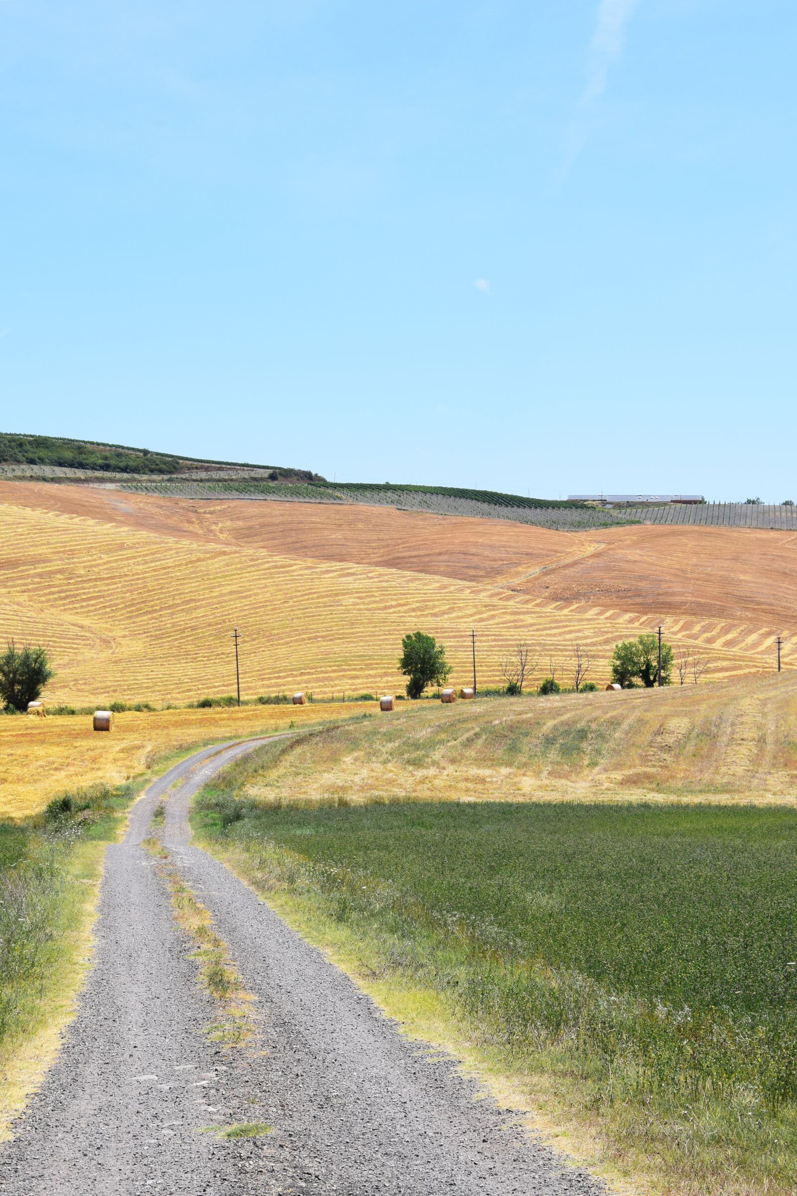 Nikon D3300 sample photo. Tuscany, fields, hay bales photography