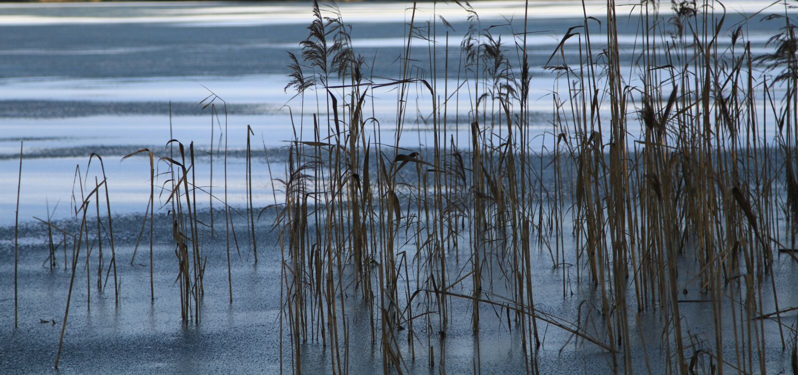 Canon EOS 7D sample photo. Bank, lake, nature photography