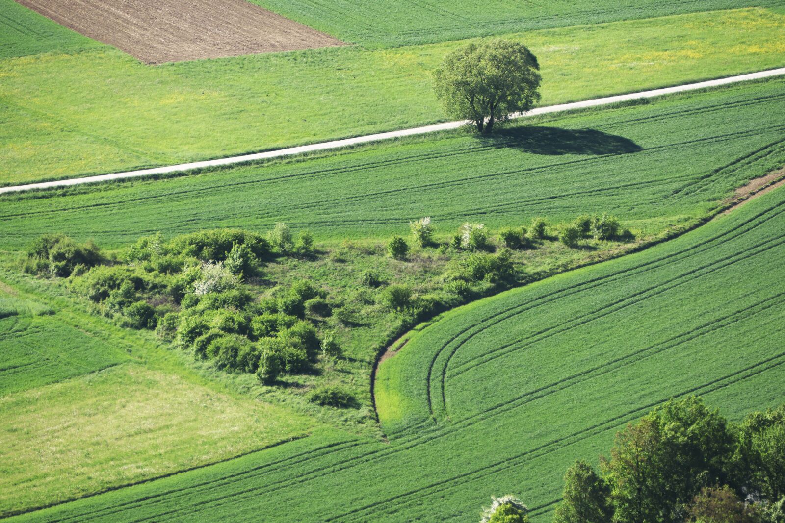 Panasonic Lumix DMC-FZ1000 sample photo. Lane, arable, meadow photography