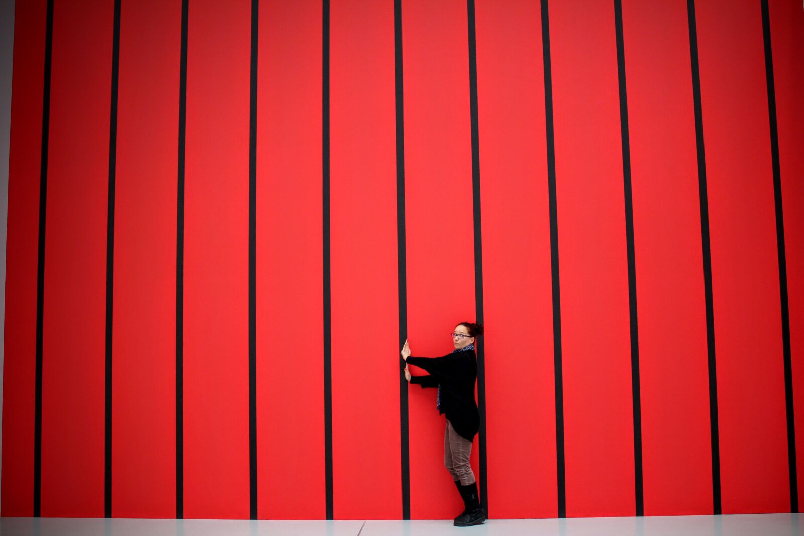 Canon EOS 600D (Rebel EOS T3i / EOS Kiss X5) sample photo. Horizontal stripes, red, black photography