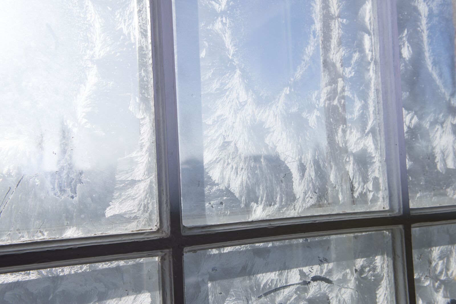 Nikon D800E sample photo. Window, day, cold photography