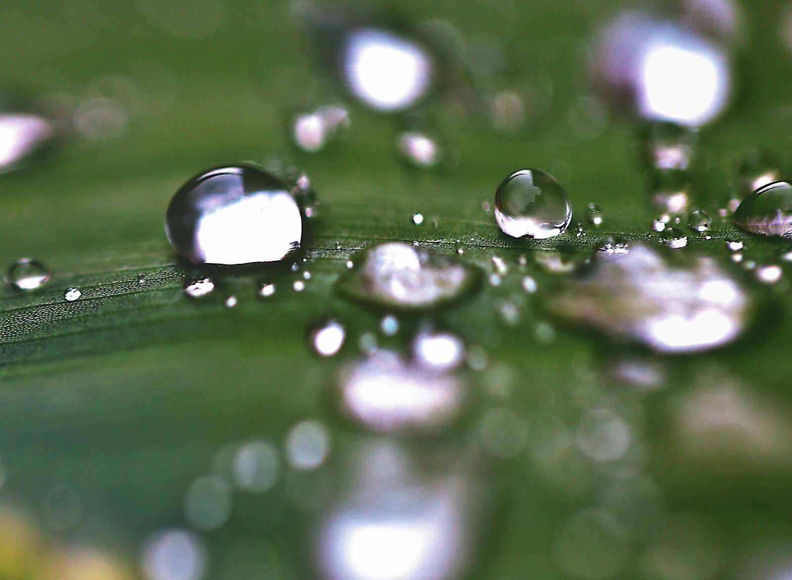 Canon EOS 5D Mark II sample photo. Water, drops, drops of photography