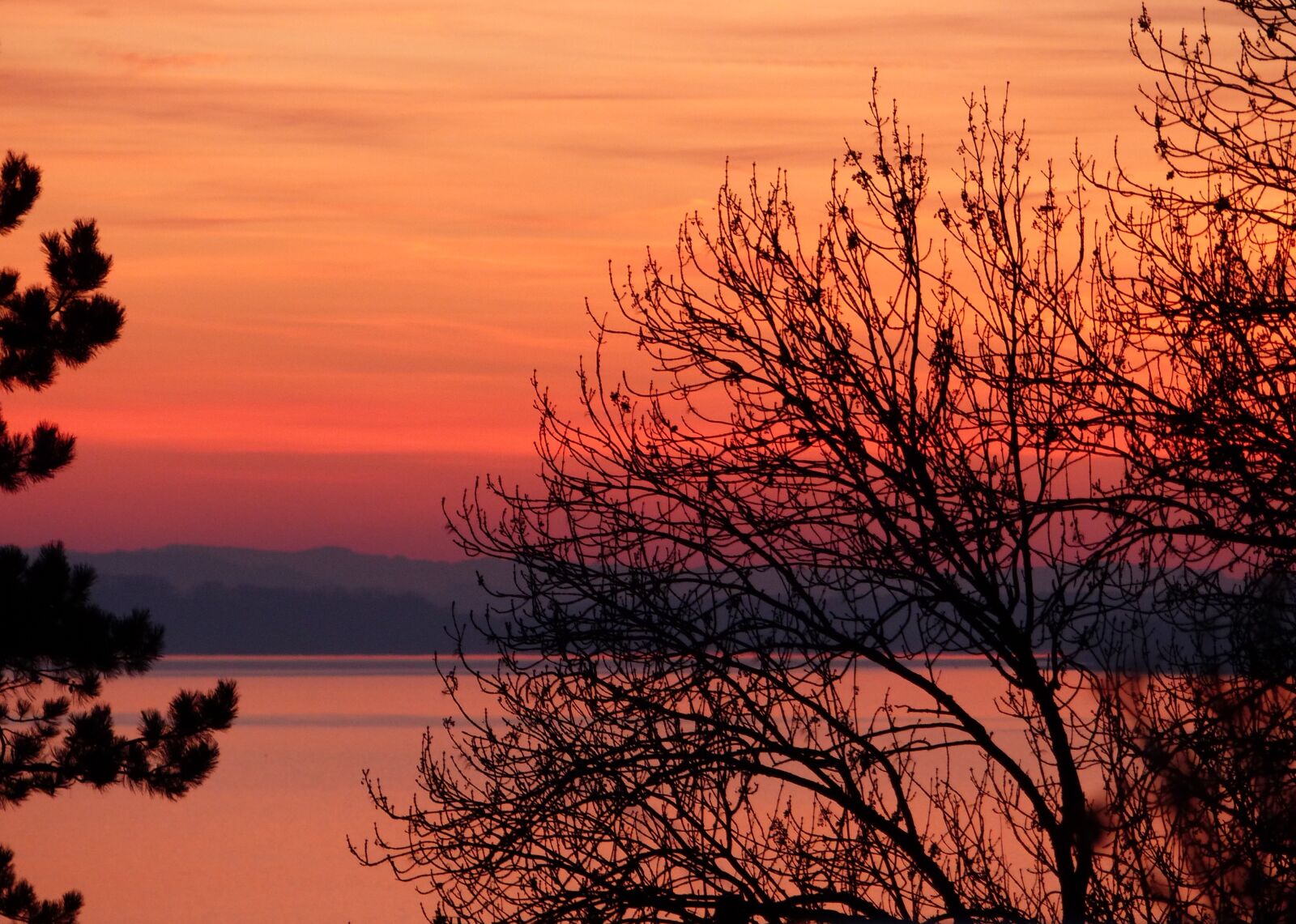 Panasonic Lumix DMC-FZ200 sample photo. Sunset, tree, nature photography