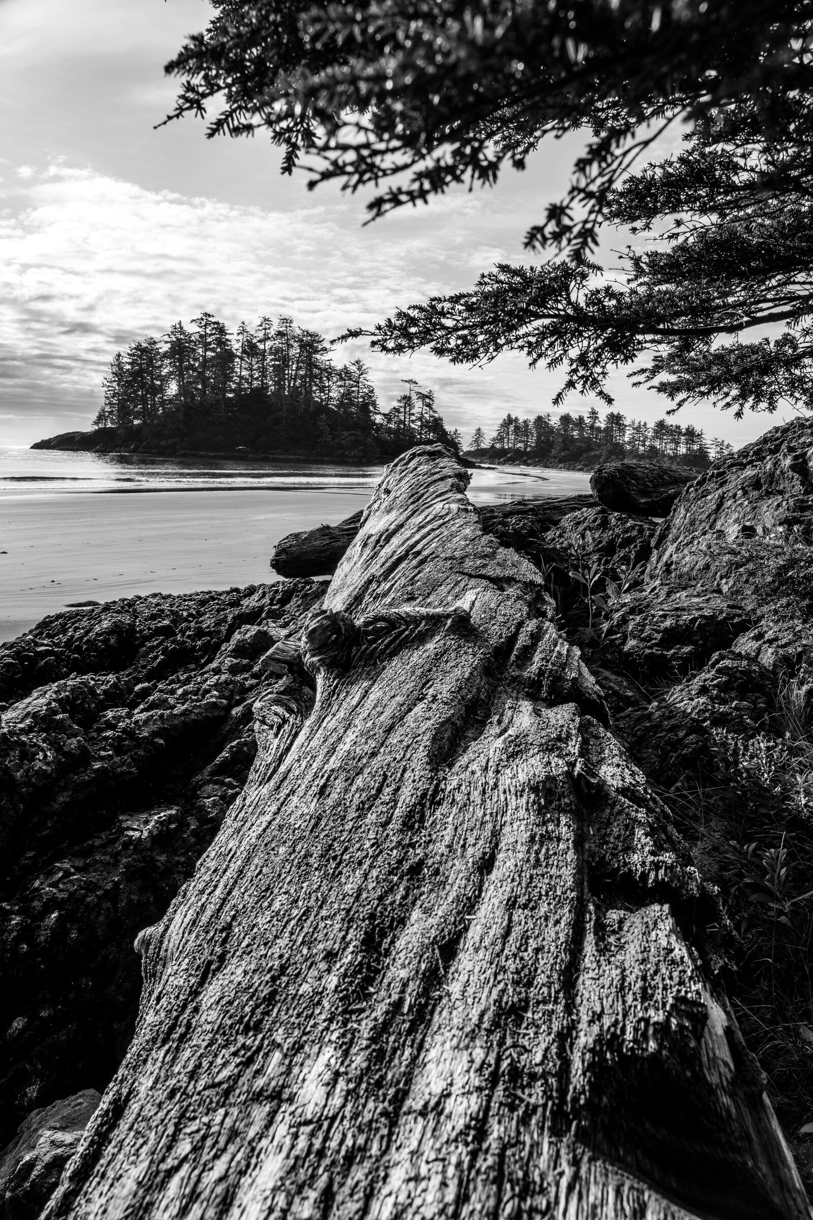Sony FE 24-105mm F4 G OSS sample photo. Beach, tofino, vancouver island photography