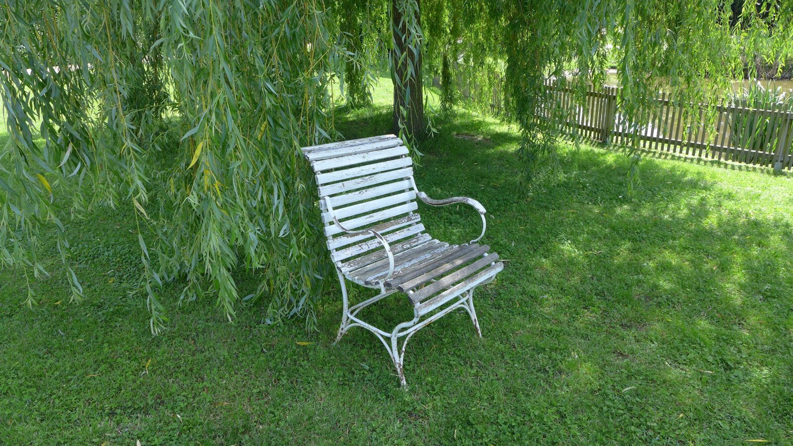 Panasonic Lumix DMC-LX7 sample photo