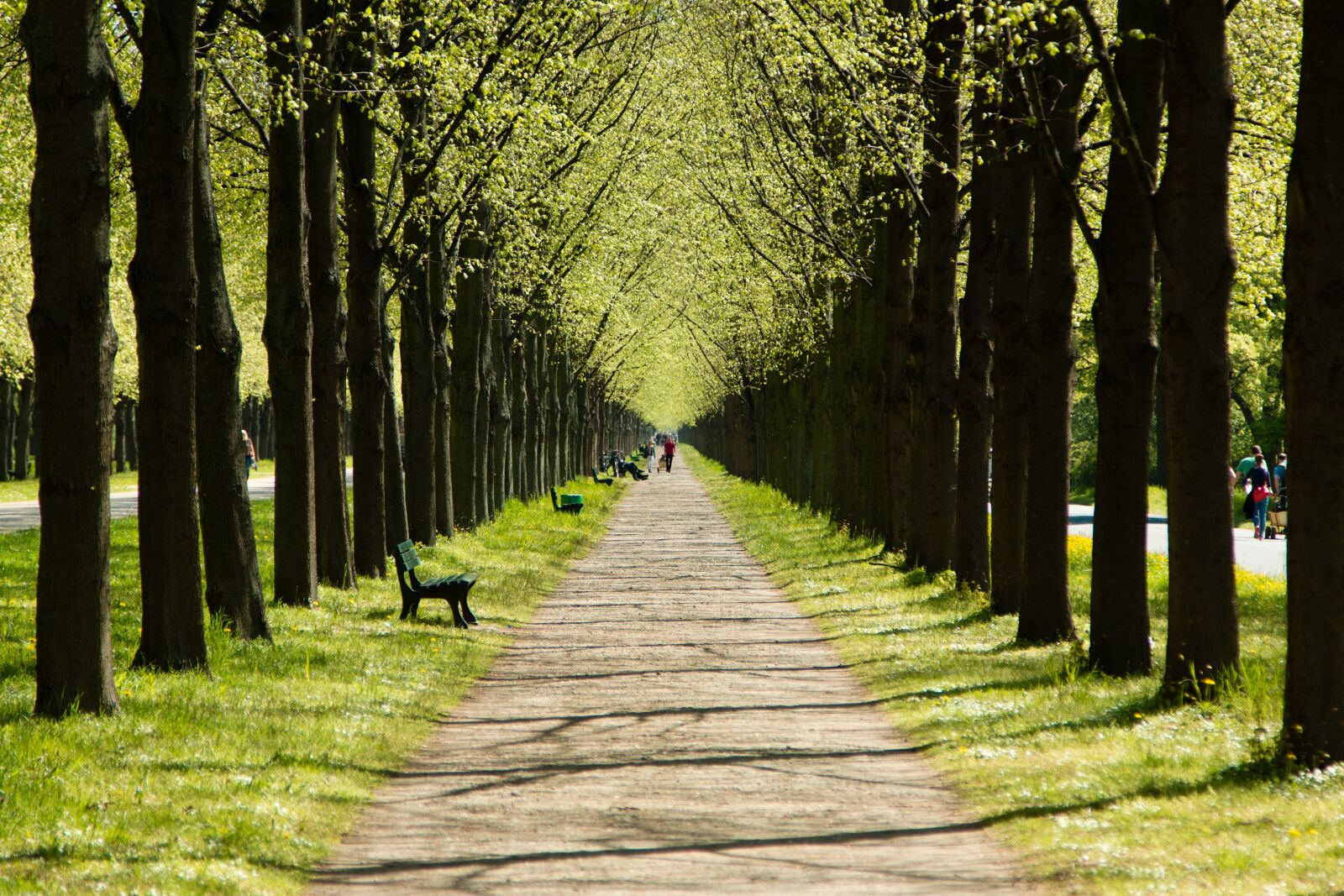Canon EOS 70D + Canon EF 24-105mm F4L IS USM sample photo. Hanover, lower saxony, manor photography